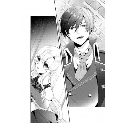 ロマンスファンタジーのようなもの