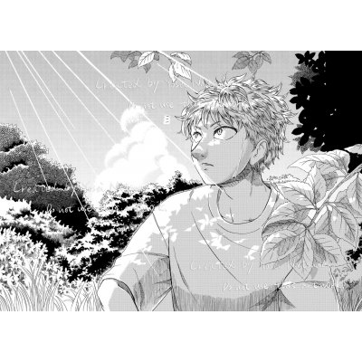 夏木陰