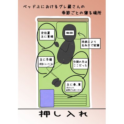 就寝時のグレ蔵さん